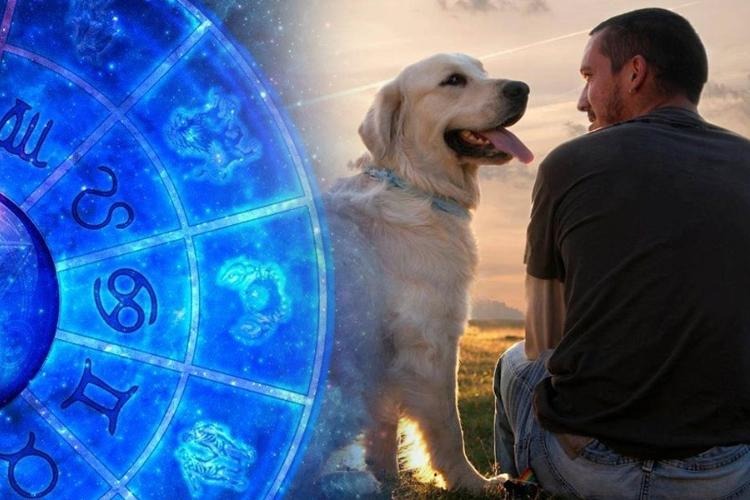 Zodiac and Dogs